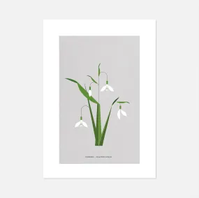 A4 Snowdrop Print