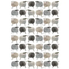 Alex Clark Sheep Gift Wrap