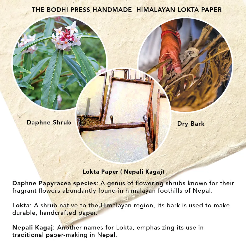 Handmade Lokta Paper Gift Bag with Tissue and Greeting Card Set I Pack of 3 I  All Handmade with Tree Free Lokta Paper and adorned with Real Flower Petal & Leaves for Any Occasion