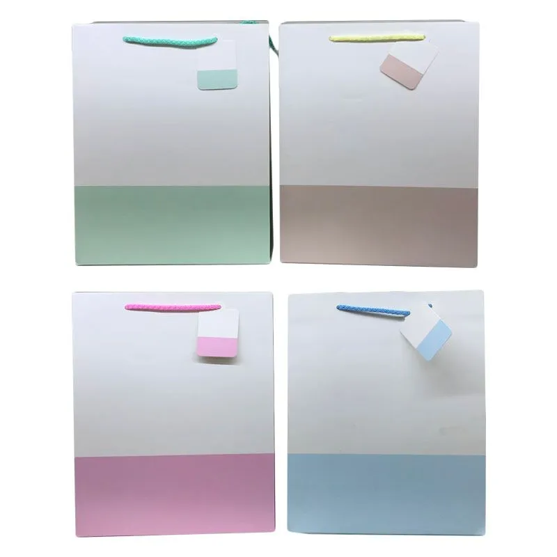 Plain 2 Tone Gift Bag - 18cm x 23cm x 10cm